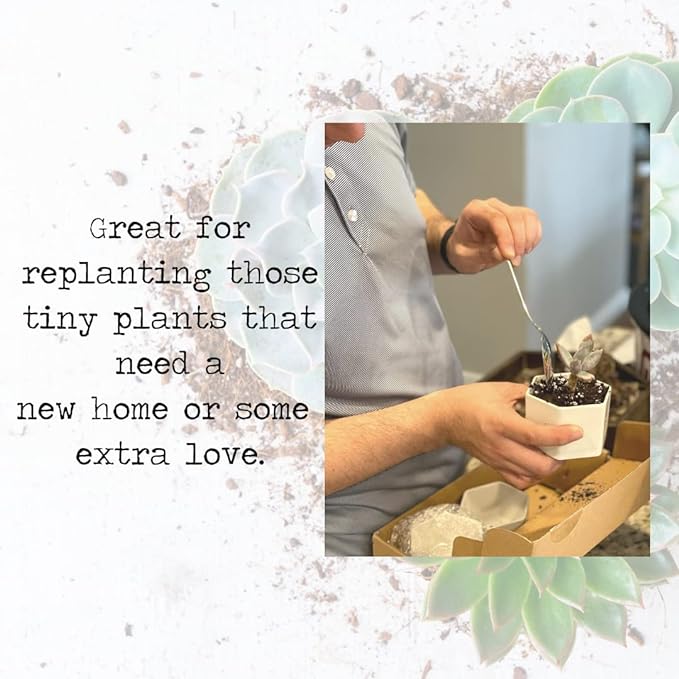 Succulent Pot | Set 3 | White Ceramic 4 Inch Planter Small Succulent Pots | Mini Succulent Pot |...