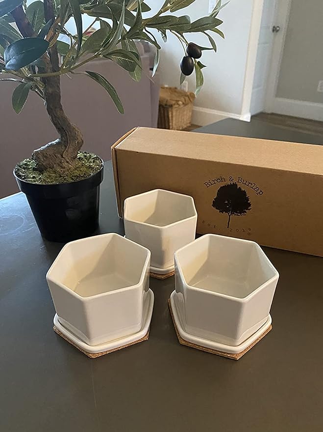 Succulent Pot | Set 3 | White Ceramic 4 Inch Planter Small Succulent Pots | Mini Succulent Pot |...