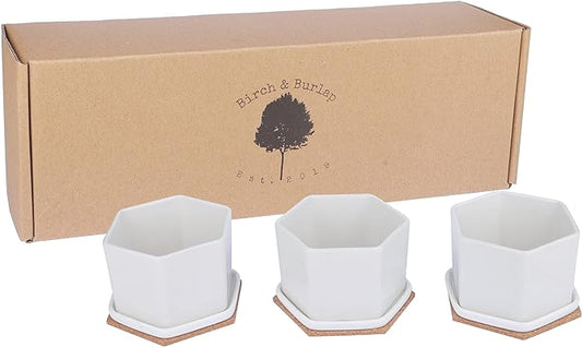 Succulent Pot | Set 3 | White Ceramic 4 Inch Planter Small Succulent Pots | Mini Succulent Pot |...