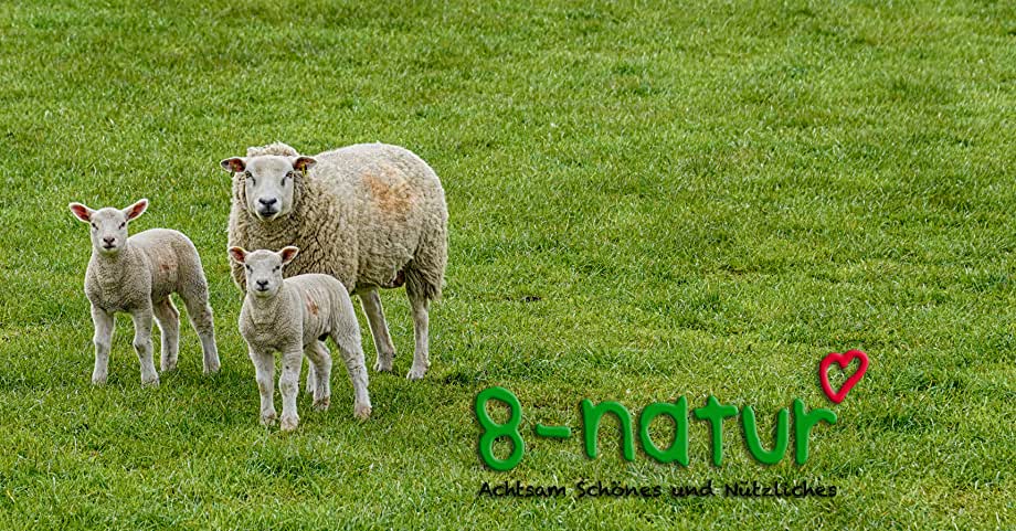 New!  Pom Pom Garland - Neutral Colors - 12 Feet Long