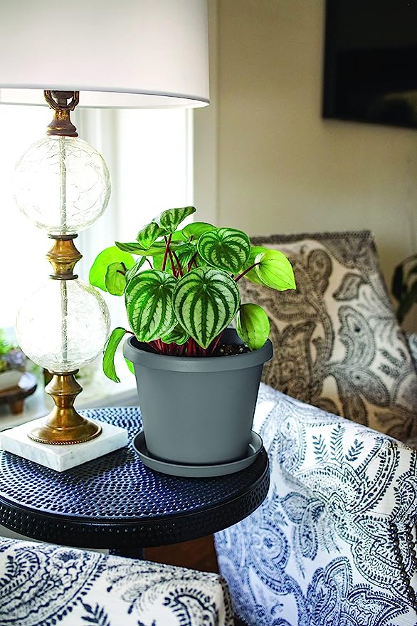 The HC Companies 21 Inch Round Prima Plastic Plant Saucer - Indoor Outdoor Plant Trays for Pots ...