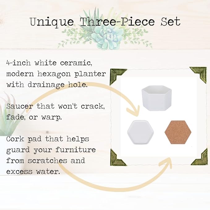 Succulent Pot | Set 3 | White Ceramic 4 Inch Planter Small Succulent Pots | Mini Succulent Pot |...