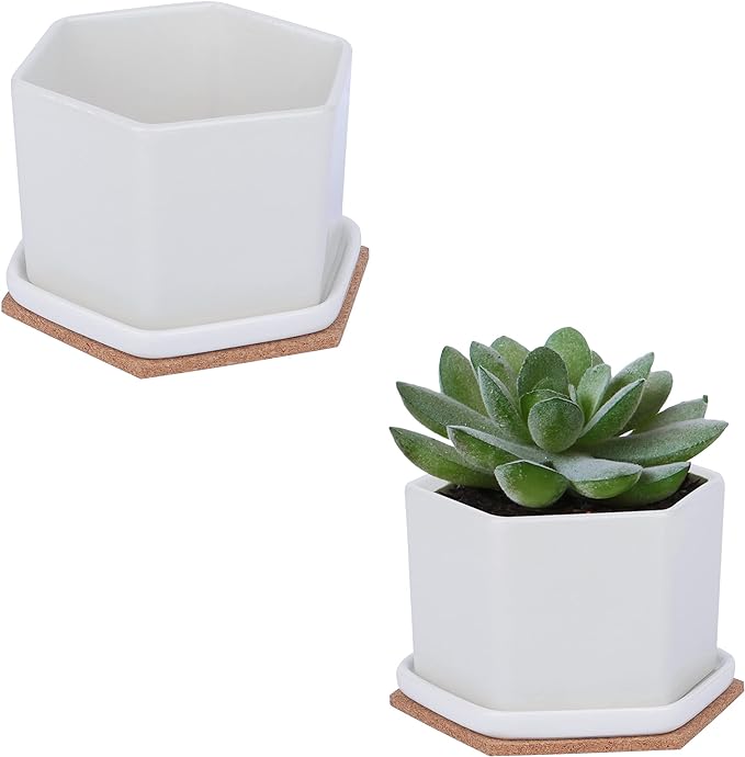 Succulent Pot | Set 3 | White Ceramic 4 Inch Planter Small Succulent Pots | Mini Succulent Pot |...